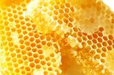 蜂蜜吃法1白蜂蜜、威灵仙各50克，每日一剂分早晚服，连服一周，对食道癌有一定疗效。
