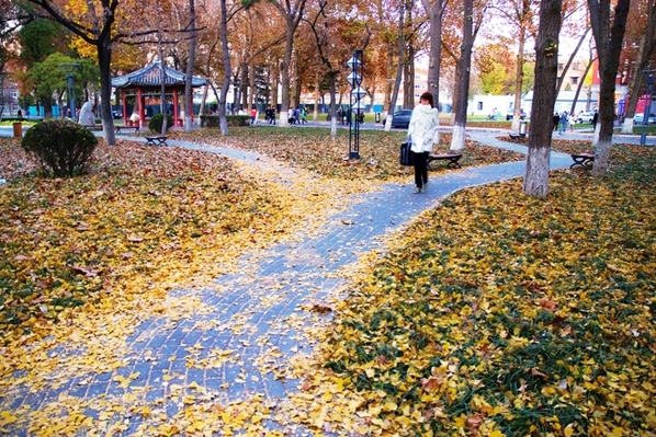 组图:中国传媒大学校园风景