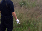 广东惠东：工地附近开店女子死在屋后草丛 疑遭强奸