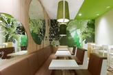 1955年在德国慕尼黑创办的维也纳森林第一餐厅（the first Wienerwald restaurant）实在是历史悠久，目前在德国有 18 个连锁店。整个餐厅的室内设计是以森林为主题，多使用绿色、浅棕色和白色的软装搭配，让人神清气爽。（实习编辑何丽晴）