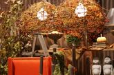 餐厅是一个与朋友和家人共进美食、增进感情的好地方。秋天意味着舒适和热情，现在8月即将结束秋季就要来临，把餐厅装修得舒适炫酷迎合秋天的氛围，可以说是一个非常不错的点子。在餐厅中加入一些秋天的元素，比如明黄色调的整体装修、手工编织的装饰品，或在餐桌上摆放一些丰收的瓜果，这些不起眼的小东西都能让你的餐厅看起来“秋味十足”。（实习编辑李丹）