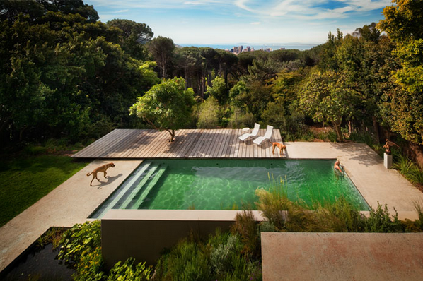 感受来自南非的热情与自然 开普敦豪宅矗立绿丛中