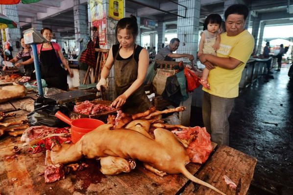 玉林狗肉市场僧人祈福 爱狗人士与肉贩对峙