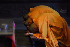 寺里年轻和尚的现代生活