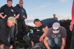 英男子捕获巨型鳐鱼