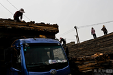 垃圾村附近一个堆积木材的场所，几名女工在将木板装上车。（实习编辑：辛莉惠）