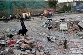 每到黄昏时候，垃圾堆、拆迁区以及街道上会出现很多流浪狗，三五成群。（实习编辑：辛莉惠）