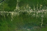 亚马逊雨林—巴西（南纬 5°40′、西经 52°44′）