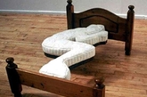 这是一个单人造型床，艺术感是有，但是要怎么睡呢？（实习编辑：辛莉惠）
