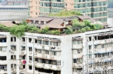 近日，有武汉市民反映，江岸区一栋12层居民楼顶藏着两层楼的“空中花园”，非常像去年被曝光的北京市海淀区的人济山庄小区B栋楼顶天台上的两层别墅。一名业主和一名物业工作人员均证实，2009年楼顶开始改造时，就有人举报过此事，当时有城管工作人员到了现场，但后来不了了之。据当地城管称，业主因房屋漏水申请加建，暂无法定性为违建。