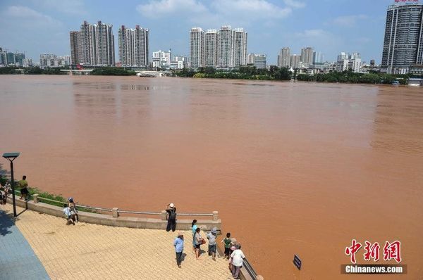 组图:南宁洪水公园被淹 市民水中淡定钓鱼