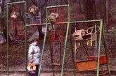 有时候对于公园里的奇怪雕塑实在感到莫名其妙。国外资讯网站buzzfeed的编辑就总结了19个堪称噩梦的公园雕塑作品，可以说分分钟吓尿小朋友，造成童年阴影。