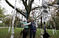 阿姆斯特丹一公园树上挂满文胸以庆祝“国际女童日” 
