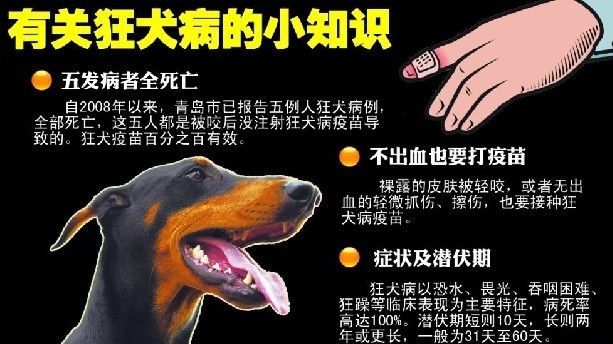 北京一男子患狂犬病死亡 生前频繁射精一天50