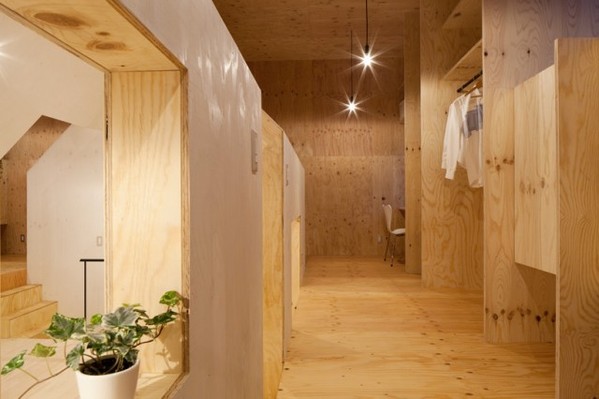 不可思议的屋中屋 Ant House/蚁窝