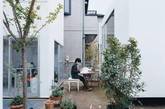 案例5 ：Moriyama House
这间预制复合住宅由西泽立卫建筑事务所为森山康夫等六户住户打造，每个住户拥有一个单独的独立“盒子”，一个公用的客厅既是公共区域又是开放的户外空间。（实习编辑：周芝）