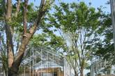 案例6  Millenium City
建筑家井口浩的可持续生活实验。让自然光透过墙和屋顶照进屋内，居住在这里的人们得以暂时逃离东京的喧嚣。（实习编辑：周芝）