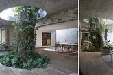 14.种在起居室里的树
要知道会爬树的孩子也算多一种求生技能哦。