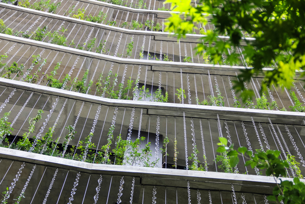日本设计：在现代大厦上安装古代雨链