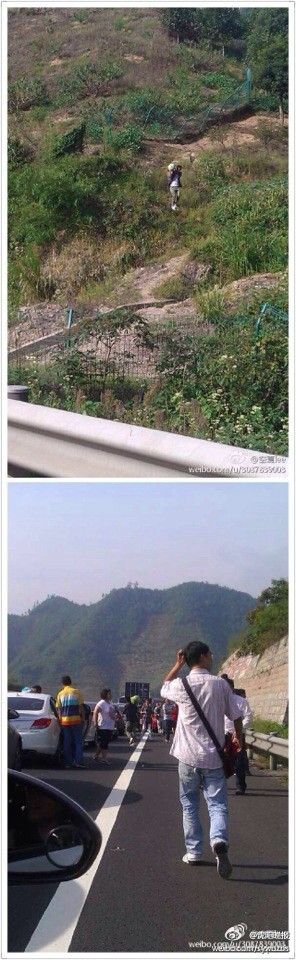 宁波网友曝高速堵车:司机下车偷摘农田冬瓜