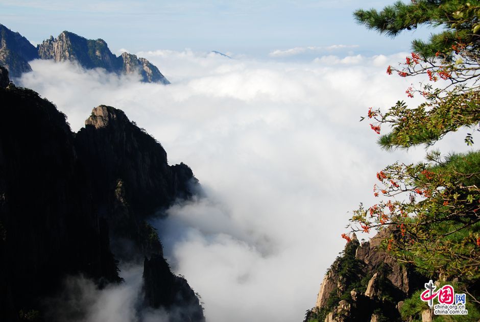 黄山秋色绚烂迎"十一" 王辉 摄