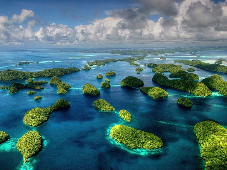 第十名 帕劳 （Palau） 南太平
　　这个水上奇妙世界实在不容错过。当地人将水下世界保存的很好，所以这里鱼类种类之多、形象之美无与伦比。在这里，您感觉不到悲伤，是一个奇幻之地。