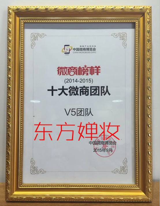 微商团队排行十强评选_十大微商团队Amy团队李炎52强微商女王