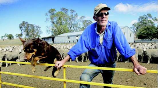 去南半球过想要的生活--一起逛逛澳洲和新西兰