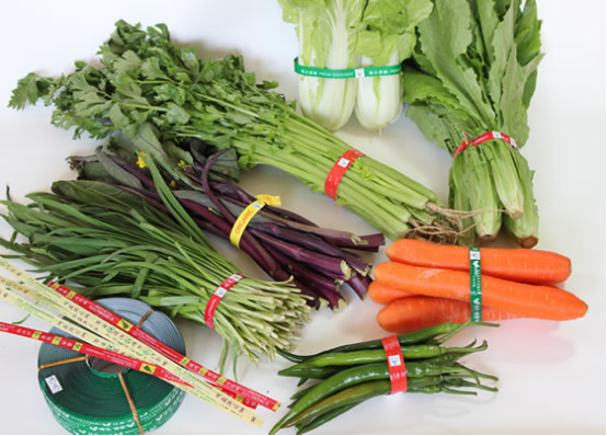 ag真人旗舰厅|至尊宝用金箍棒桶紫霞小鸡|神奇的魔带：超市蔬菜环保扎带诞生记