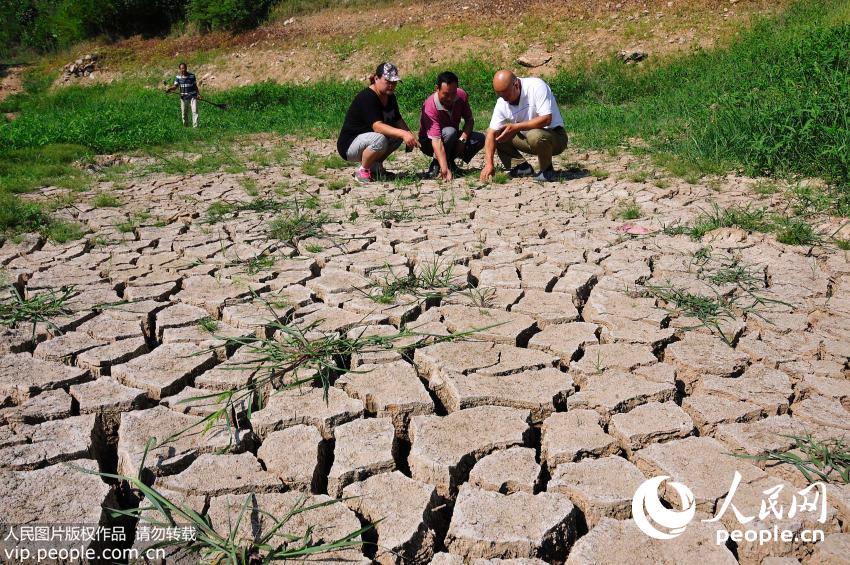 山东烟台持续干旱 农民多管齐下挖井取水