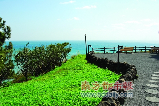 虽然已是暮春，但由于地处高纬度，五一时的济州岛仍是春意盎然。