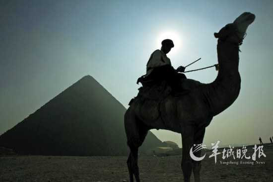 埃及首都开罗，游客骑着骆驼游览金字塔 才扬 摄