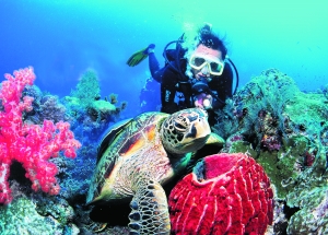 　　在兰卡威你可以潜水观赏缤纷绚丽的海底世界。　　（资料图片）