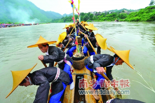 每年端午节，贵州东南地区的苗族人都会在这天划独木龙舟。C FP供图