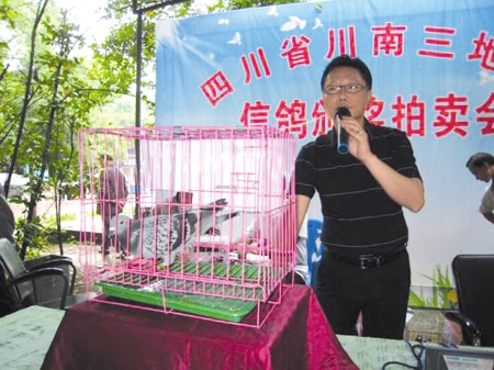 最贵信鸽卖万元