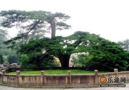 池州精品旅游线路推荐休闲养生七日游(图)