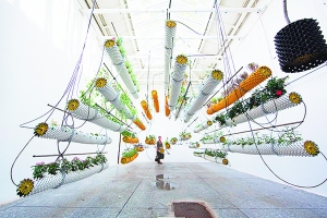 　　西班牙馆作品，绿色植物与装置相结合，造型奇特。