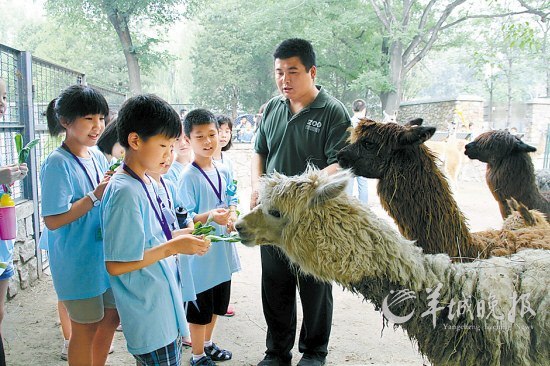 夏季夏令营