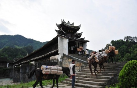 茶马古道