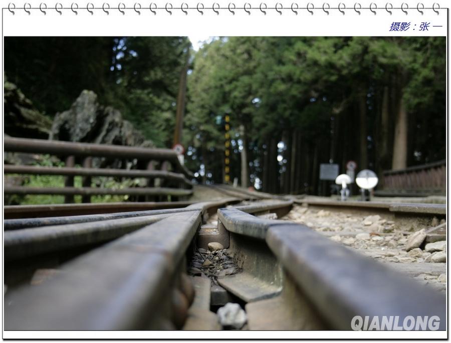 当初日本鬼子为了掠夺桧木而修建的铁路。现在这个阿里山上的小火车站名曰“神木站”