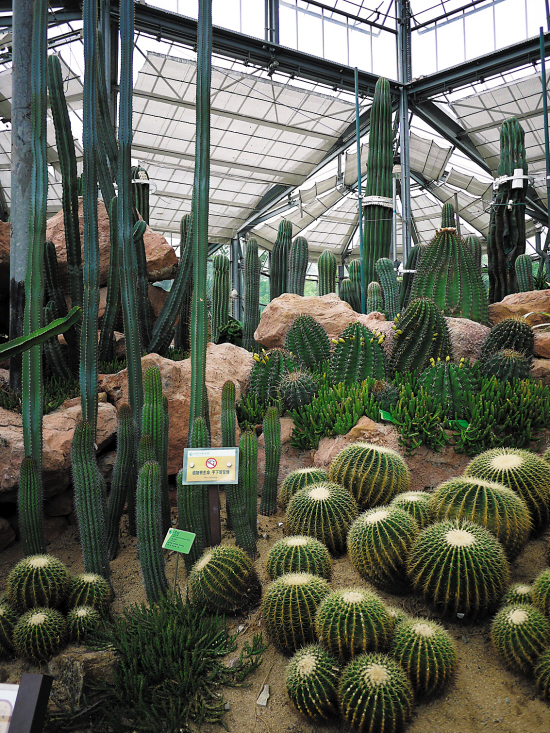 云南昆明植物园西双版纳热带植物园海南兴隆热带植物园南京中山植物