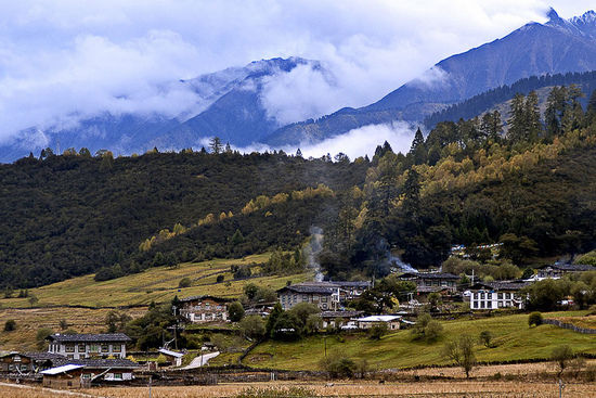 鲁朗林场（驴妈妈旅游网供图）