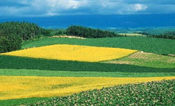 茅于轼:土地买卖有利农民_讲堂频道_凤凰网