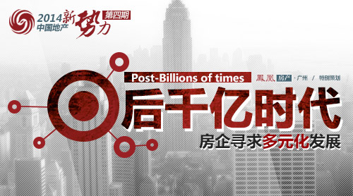 收入证明_房地产策划收入(2)