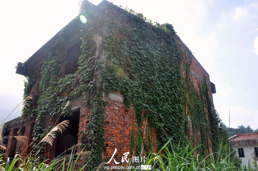 风景秀丽的风景名胜区江西庐山，可谓寸土寸金。可是，就在这寸土寸金的庐山脚下，却有3个别墅群，共70余栋“烂尾”别墅，一“烂”就是20年，阴森恐怖，成了“鬼屋”。