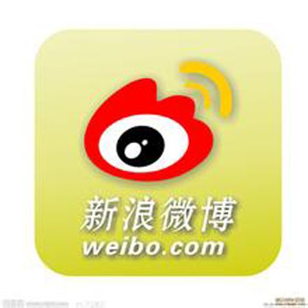 收入证明_新浪的收入