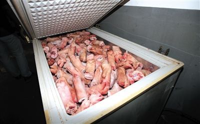 　朝阳奶西村加工作坊冰柜内码放的未加工猪蹄，其与左侧被“泡制”过的猪蹄相比，布满血色，颜色发黄“没卖相”