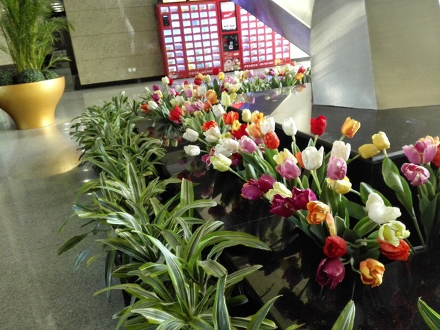 6寸大屏指纹识别全金属华为Mate7评测