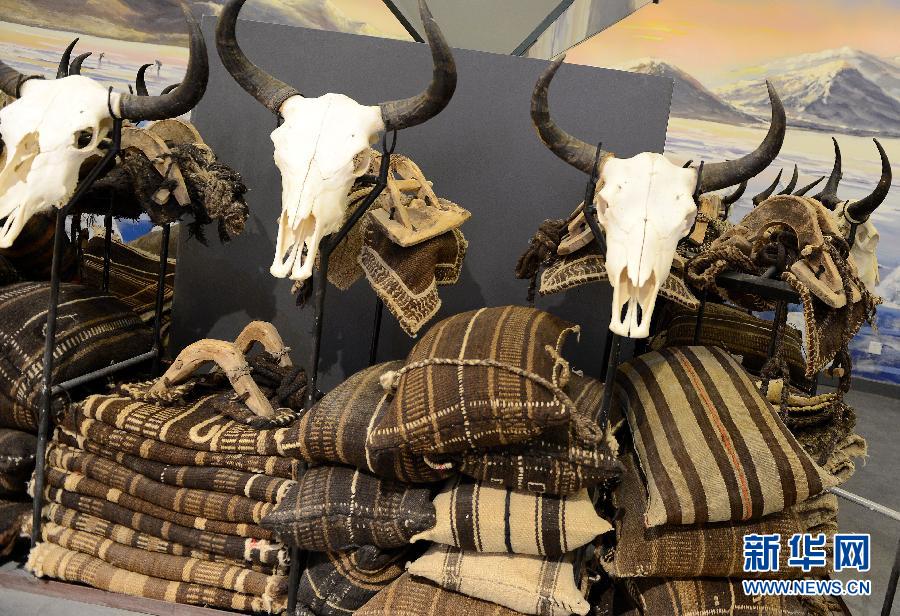 （XHDW）（6）西藏牦牛博物馆正式向公众免费开放