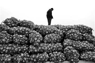 中国出口韩国2200吨大蒜遭退回